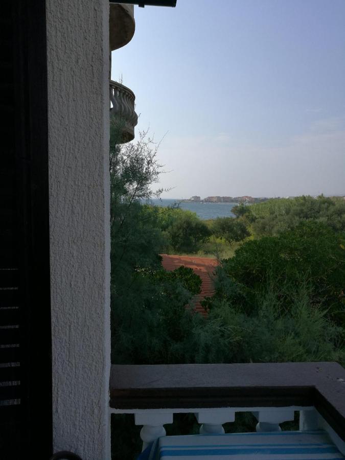 Apartments Mint Povljana - 50M From Sandy Beach Εξωτερικό φωτογραφία