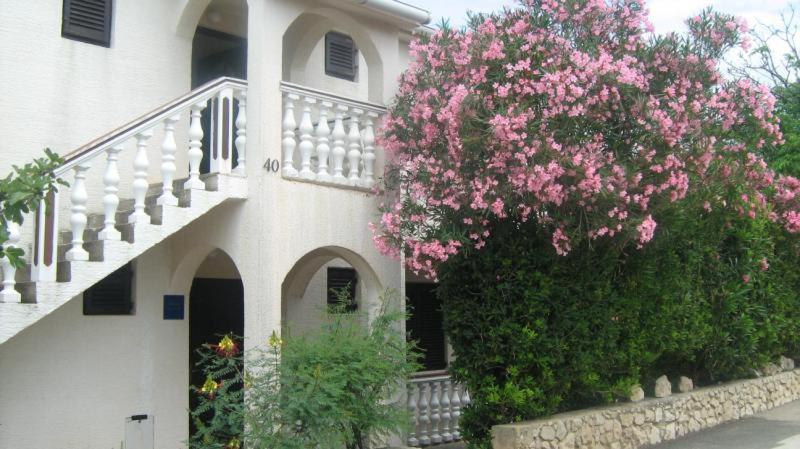 Apartments Mint Povljana - 50M From Sandy Beach Εξωτερικό φωτογραφία