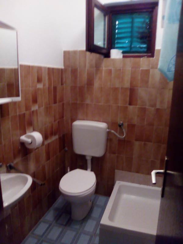 Apartments Mint Povljana - 50M From Sandy Beach Εξωτερικό φωτογραφία