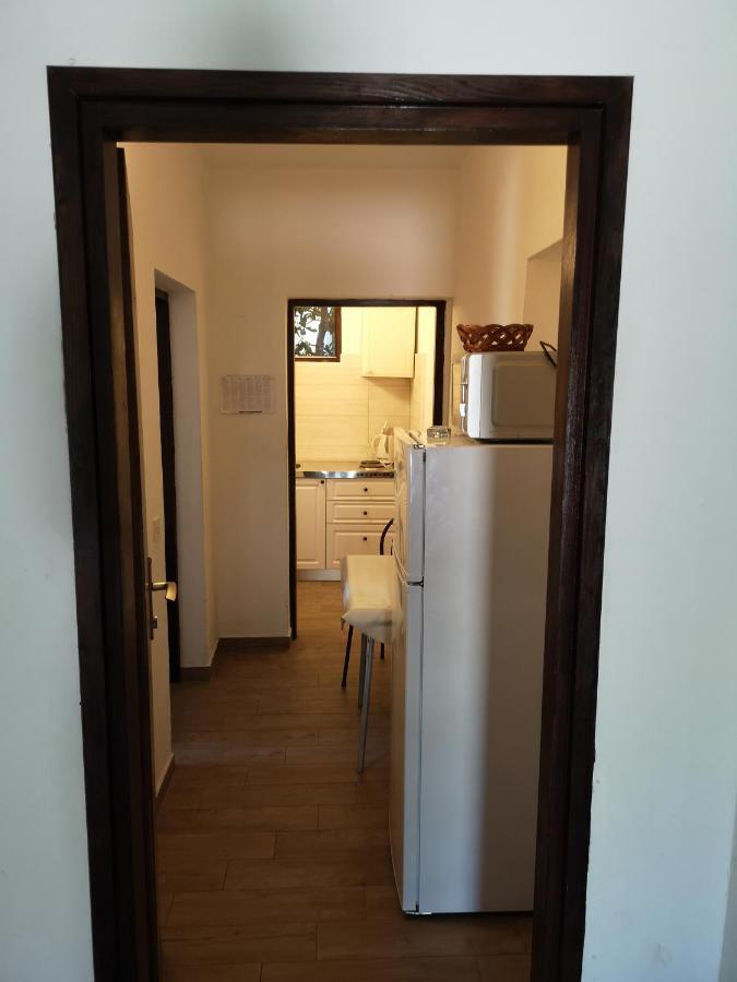 Apartments Mint Povljana - 50M From Sandy Beach Εξωτερικό φωτογραφία
